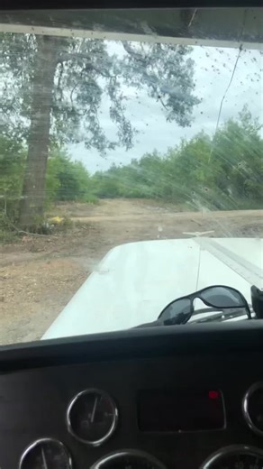 Dallas wade on TikTok