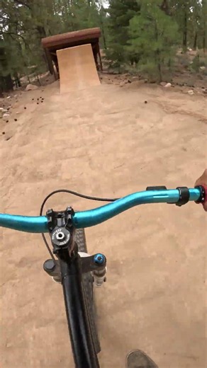 Stay Another Week POV Ride at Riverview Bike Park