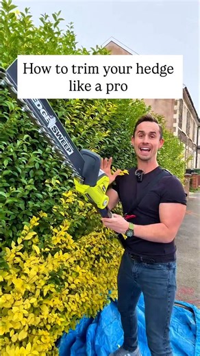 Michael Griffiths on Instagram: "How to trim your hedge like a pro 1: Sweep up to trim safely and get the right shape. 2: Start at the bottom for a straight, even line. 3: Keep it slightly tapered for maximum sunlight. 4: Use a hedge sweep for easy cleanup and a healthy hedge. 5: Clean and WD40 your tools after use #gardening"