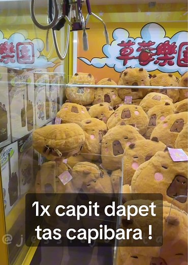Main Mesin Capit Boneka Labu di Taiwan