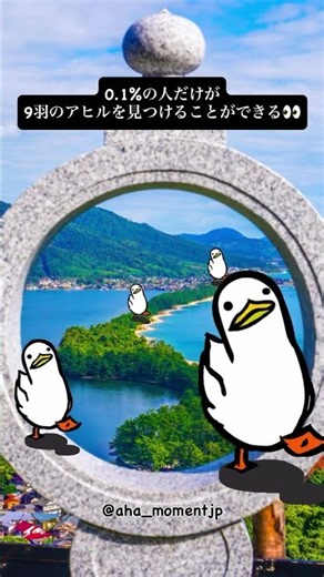 0.1%の人だけが9羽のアヒルを見つけることができる👀 #findtheduck #クイズ #脳トレ #京都 #天橋立