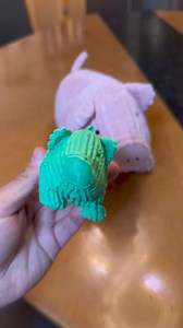 138K views · 773 reactions | Check out this amazing project by David using our Moose 3D scanner! 歷 He successfully 3D scanned a pig with incredible precision and detail, and then brought it to life with a 3D printer. The results are stunning! Join our group to explore: https://www.facebook.com/groups/1097565751663715 | 3DMakerpro | Facebook