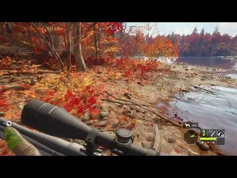 Hunting New England on Call Of The Wild