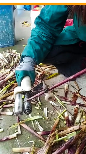 The process of peeling bamboo shoots #bamboo #tricks | High-Tech Manufacturing