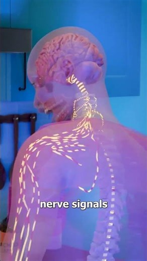 Unlock Your Nervous System's Superpowers