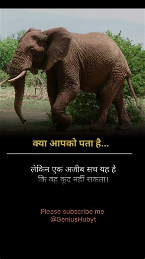 Animals fact #facts ‪@FactTechz‬ #viral #shorts #ytshorts #trending#video#reels #animals#knowledge