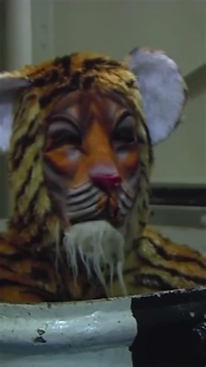 The Warship’s "Secret Weapon" #warship #navy #shorts