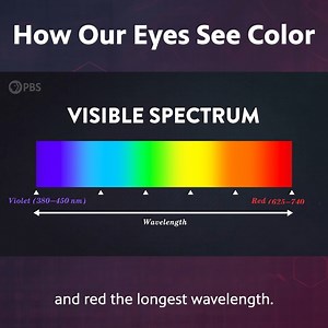 238K views · 6.5K reactions | How Our Eyes See Color | Be Smart | Facebook