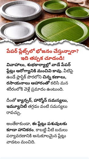 Is Eating on Paper Plates Safe? Shocking Truth You Must Know