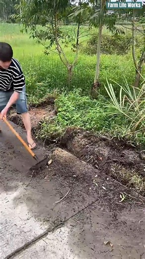 🌱 Cleared Roadside Weeds & Mud Using Hand Hoe Tool