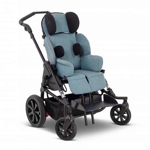 Bingo Evo Stroller - Strollers - GTK