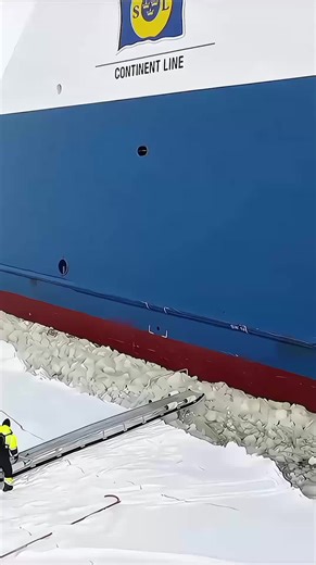 Exploring Sea Life and Ship Life: An Insightful Journey