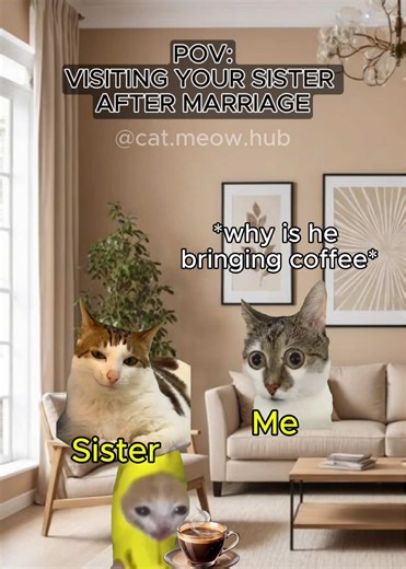 POV VISITING YOUR SISTER AFTER MARRIAGE #catmemes #catmeme | cat