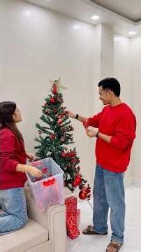 Day 1107 : Finally Studio’র সব Christmas Decorations খুলে রাখলাম #shorts #chanrav