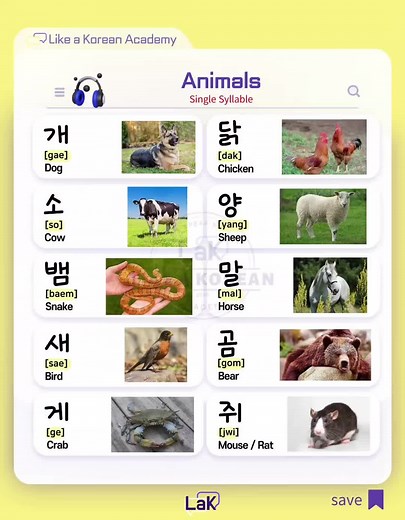 Animals in Korean