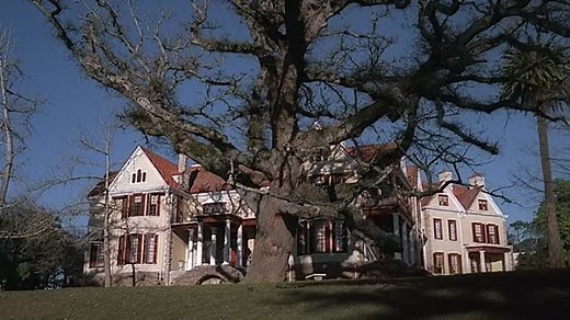 Home Alone 4: Taking Back the House (2003)