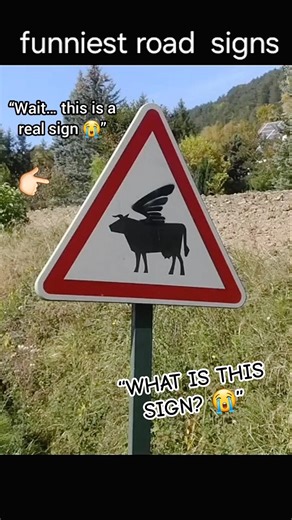 “This road sign makes NO sense 😂 part 3”