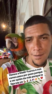 🙏🏾♥️🦜🔥🇵🇷💪🏾 | Dukito Exotic 01