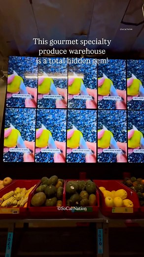 SoCal Nation® on Instagram: "Specialty Produce may be one of the most hidden gems in SoCal. 🍓🍒🍎Located in San Diego 1929 Hancock St Unit 150 San Diego, CA 92110 USA ©SoCal Nation #socalnation #socal #southerncalifornia #california #socalliving #socalblogger #sandiego #losangeles #sandiegoblogger #sandiegolife #sandiegofood #sandiegoliving #hiddengem #hiddengems"