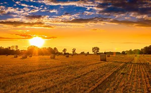 34 Inspirational Quotes On Reaping & Sowing