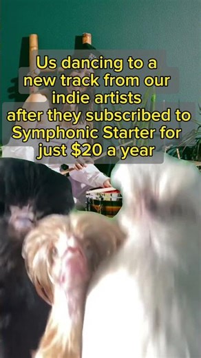 Sign up for the best #MusicDistributor in the industry today.⁠⁠ Get 50% off with code CYBERFUN50