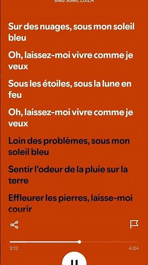Bleu Soleil feat LUIZA - Soleil ble(parole/lyrics) #spotify #musique #music #song