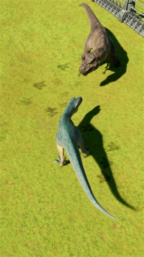 T rex Rexy VS Albertosaurus #dinobattle #dinosaurus #jurassicworld #jurassicworldevolution2