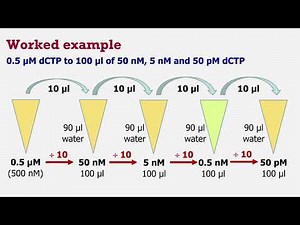 7. Making an intermediate solution serial dilutions
