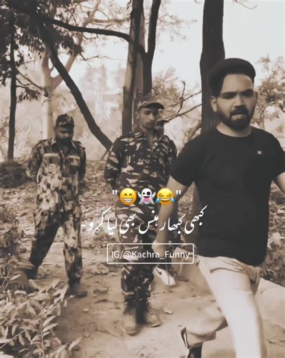 Humorous Video Account Insights and Reactions