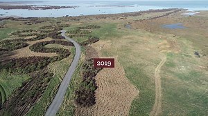 3.2K views · 54 reactions | Funding from the One Billion Trees...