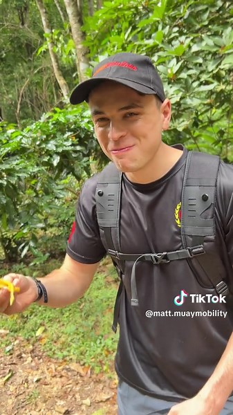 Why Walking Is A Secret Mobility Hack ⤵️ Your ancestors walked 17,000 steps daily. You’re getting 4,000. Walking is the most underrated mobility tool on the planet. Here’s what happens with every single step: ✅ Synovial fluid pumps through your joints (natural WD-40) ✅ Hip flexors lengthen (reversing sitting damage) ✅ Glutes activate (waking up sleeping muscles) ✅ Your entire kinetic chain remembers how to work as a team Your body was designed for walking—every joint, muscle, and movement patter