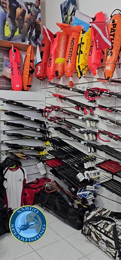 Spearfishing in Algeria with Sargo