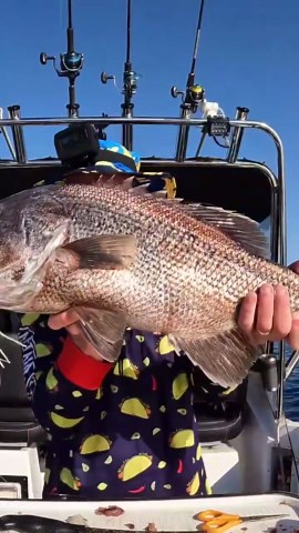 The bottom jig that gets all the bites