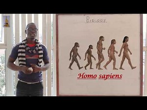 3. Kingdoms of Classification Biology Form 1