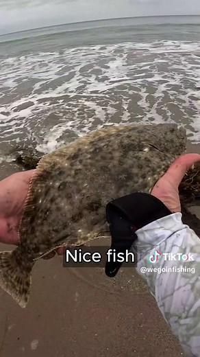 Halibut Fishing Fun in SoCal