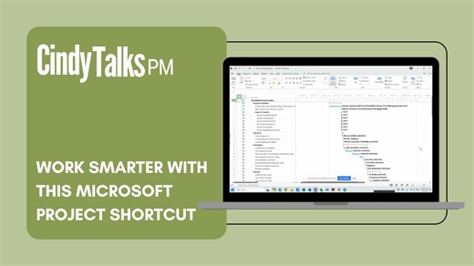 If you use Microsoft Project check out this video for tip that could make your work so much easier! | Cindy M. Lewis