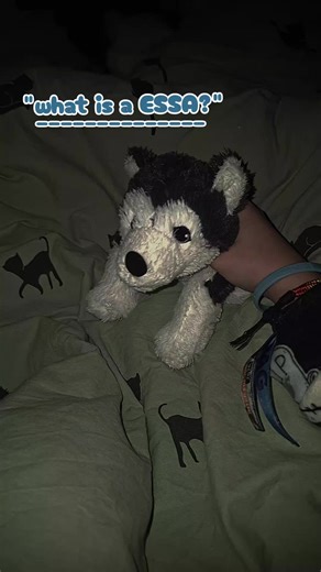 Understanding ESSA: Emotional Support for Mental Health