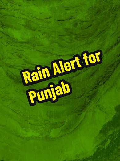 Rain Alert for Punjab: What You Need to Know