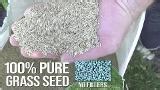 GreenView 3 lbs. Pure Grass Turf Type Tall Fescue Sun and Shade Blend - Covers up to 750 sq. ft. 2829346