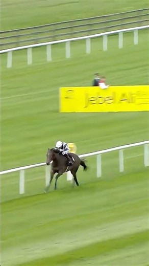 Oh, hello 👀 The superbly-bred ALPHA puts on a show in the opener on Irish Derby Day!
