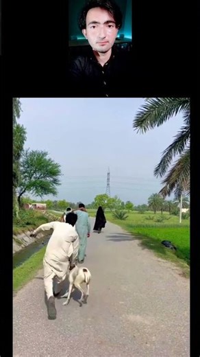 TikTok funny 🤣 reaction part 141 Funny 🤣 shorts 🤣 🤣 #shorts #shortsfeed #funny #mrpakistanihacker