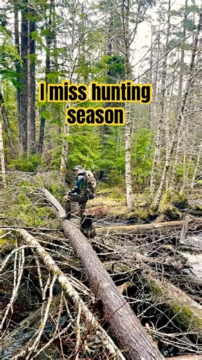 I miss hunting these creek bottoms! #alaska #hunting #outdoors #remote #deerhunting #archery #epic