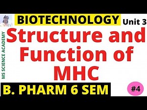 Structure and Function of MHC-Pharmaceutical Biotechnology-Unit 3- B. Pharmacy 6 Sem--Lect.4