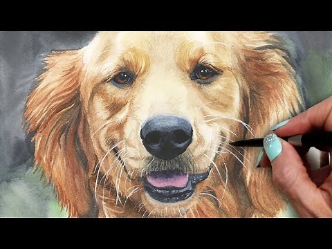 How to Paint a Golden Retriever Pet Portrait in Watercolor Tutorial
