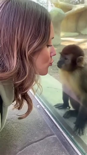 The Daily Bork (@the.daily.bork)’s videos with original sound - The Daily Bork