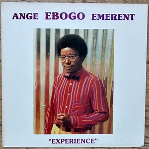 Ange Ebogo Emerent - Experience