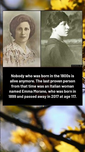 Last Person Born in the 1800s: Emma Morano's Incredible 117-Year Life Story