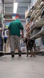 61 reactions · 10 comments | Woohoo she so good 凉 | Dogs on the Farm | Facebook