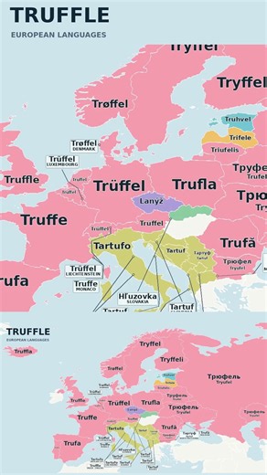 How to Say "Truffle" in European Languages