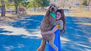 Donate to Help Simba with his medical expenses, organized by Simba Rivera